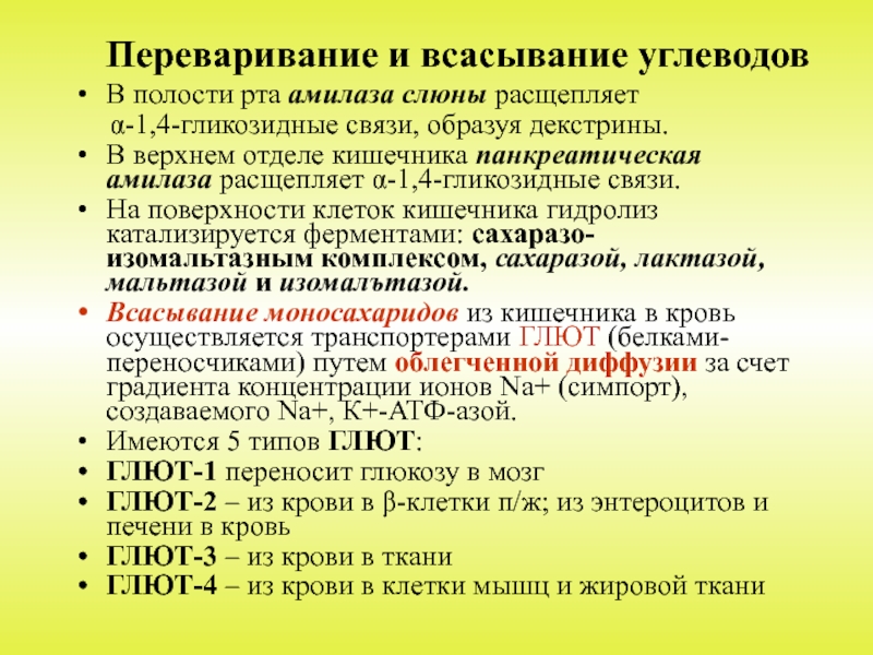 Переваривание и всасывание углеводов презентация