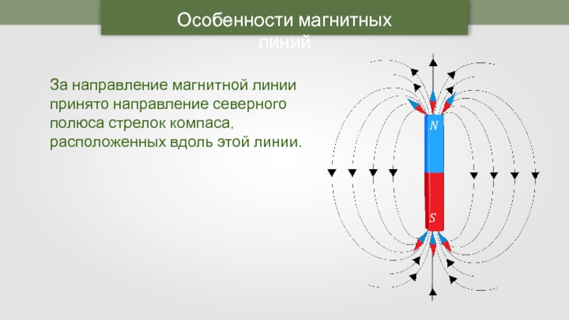 Схема магнитных линий