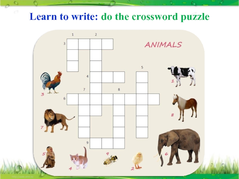 Do the crossword 5 класс. Задание do the crossword Puzzle. Английский do the crossword Puzzle. Do the crossword Puzzle 4 класс. Crossword Puzzle английский 4 класс.