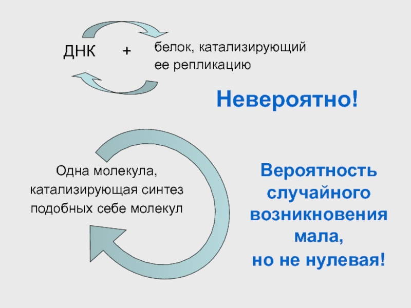 Днк это белок. Появление ДНК. Вероятность ДНК. ДНК происхождение. Вероятность случайного зарождения жизни на земле.