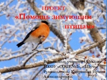 Проект «Помощь зимующим птицам»