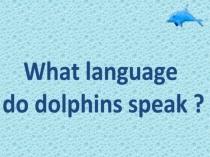 What language do dolphins speak?