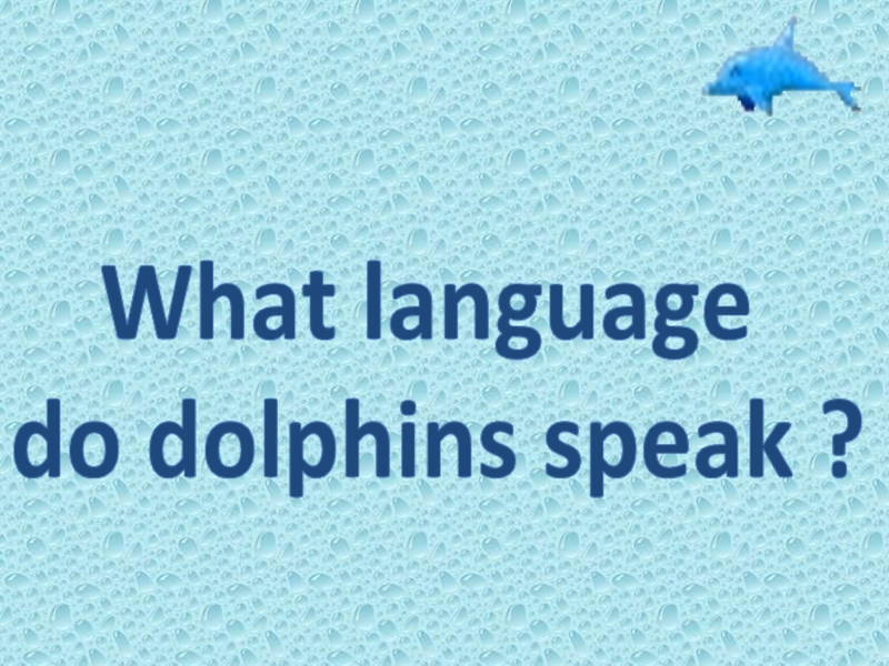 Презентация What language do dolphins speak?