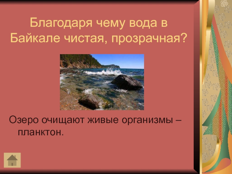 Воды байкала чисты и прозрачны. Благодаря чему вода в Байкале чистая. Почему вода в Байкале чистая и прозрачная. Почему Байкал чистый. Почему в Байкале чистая вода.