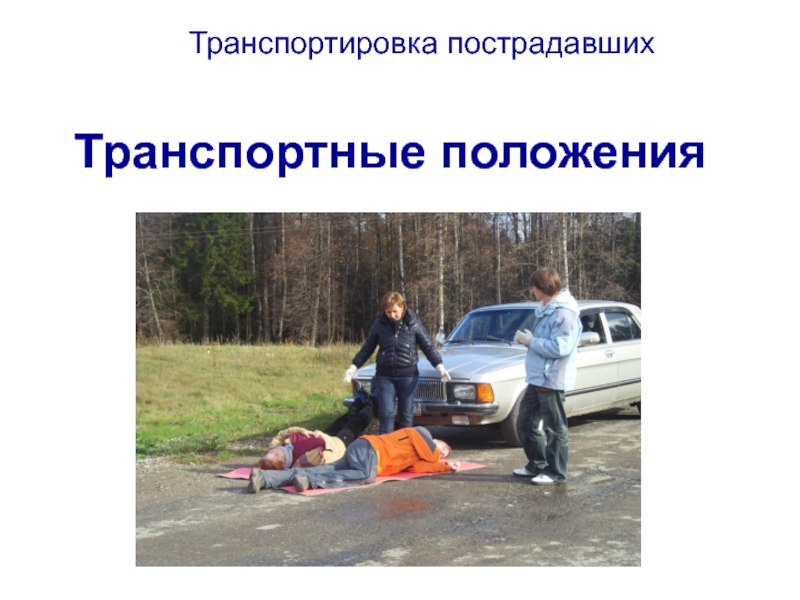 ТРАНСПОРТНЫЕ ПОЛОЖЕНИЯ