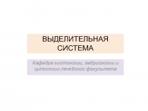 ВЫДЕЛИТЕЛЬНАЯ
СИСТЕМА
Кафедра гистологии, эмбриологии и цитологии лечебного