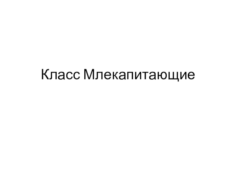 Класс Млекапитающие