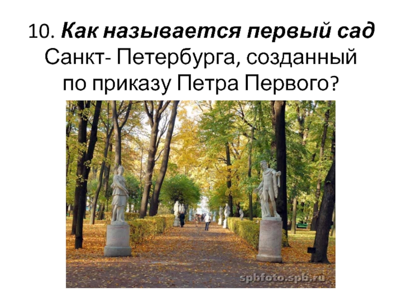 10. Как называется первый сад Санкт- Петербурга, созданный  по приказу Петра Первого?