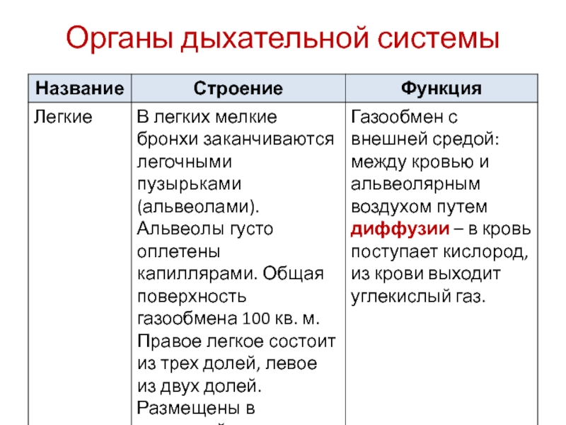 Дыхание организмов 10 класс