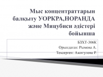 Мыс концентраттарын балқыту УОРКРА,НОРАНДА және Мицубиси әдістері бойынша