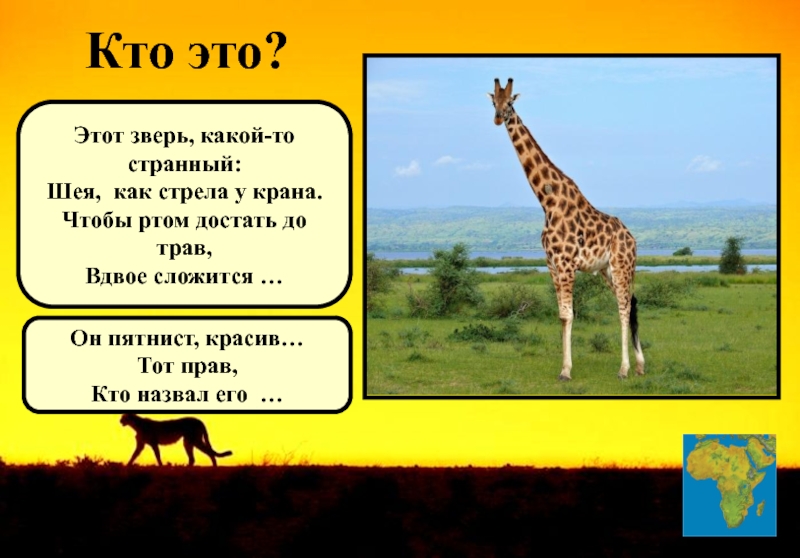 Африка загадки для детей. Звери это кто. «Кто какой зверь?» Цель. Загадки о африканских животных горизонтально. Как называется это какой то зверь.