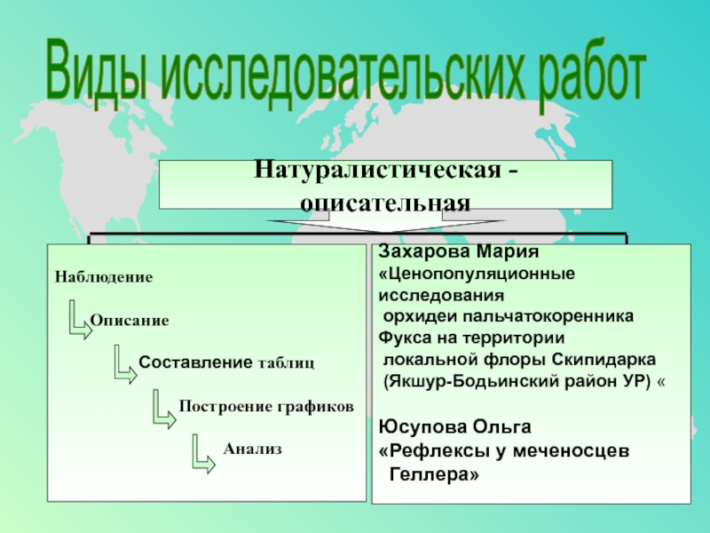 На сколько исследований. Типы исследовательских работ. Натуралистическая исследовательская программа. Типы научных работ. Типы исследовательских заданий.