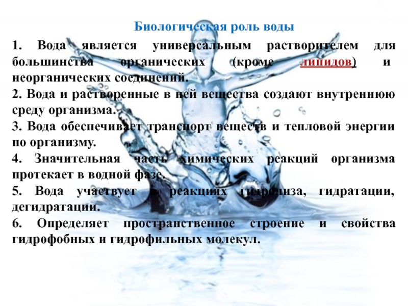 Вода обеспечивает. Биологическая роль воды. Роль воды в биологии. Основная биологическая роль воды. Биологическая роль воды кратко.