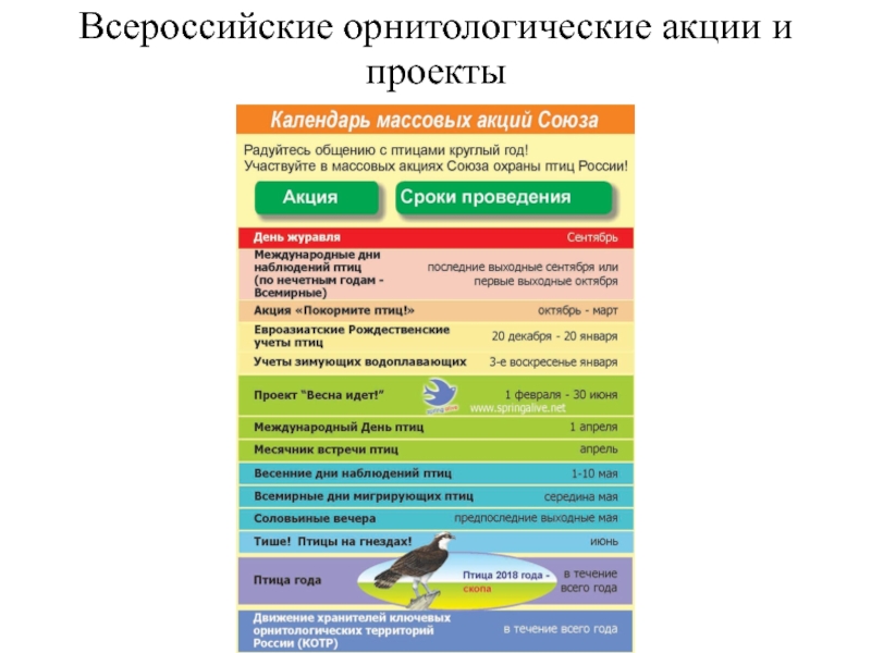 Ключевые орнитологические территории россии карта