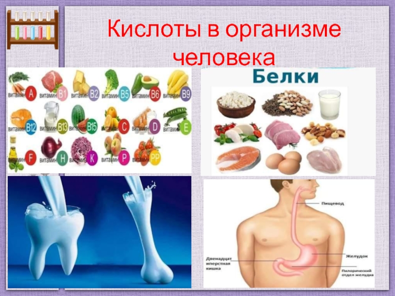 Кислоты в организме человека картинки