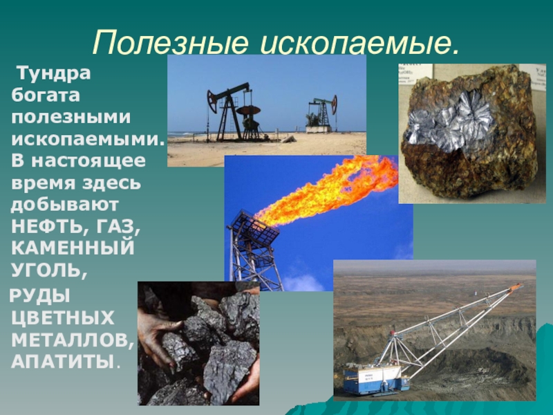 К топливным ресурсам относятся газ и гидроресурсы уголь и газ гидроэнергоресурсы и уголь