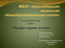 Подари дереву жизнь 4 класс