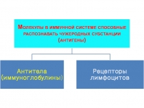 антигены и антитела