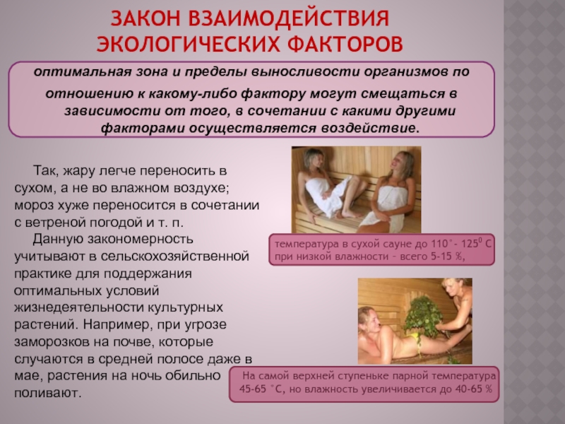 Экологические законы презентация