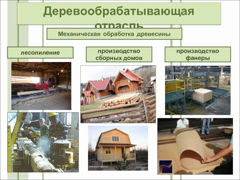 Деревообрабатывающая отрасльМеханическая обработка древесинылесопилениепроизводствосборных домовпроизводствофанеры