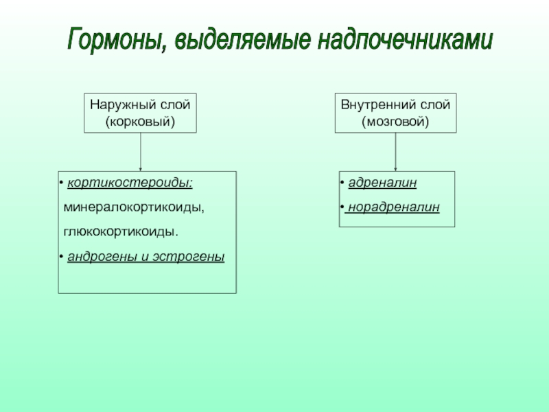 В надпочечниках выделяют вещества