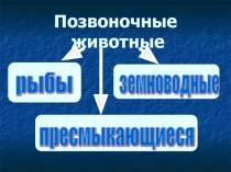 Позвоночные животные: рыбы, земноводные, пресмыкающиеся 3 класс