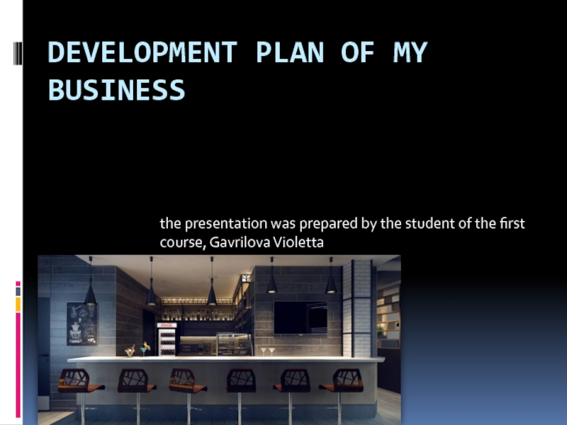 Презентация Development plan of my business