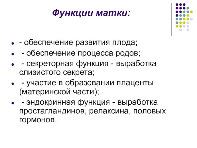 Строение женских органов наружных гинекология схема