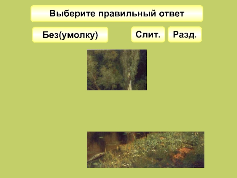 Без умолку. Неслыха…ый. Вопросы про птиц с правильными и НН правильными ответами. Неслыха_ый случай.