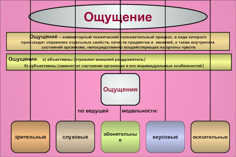 познавательные процессы