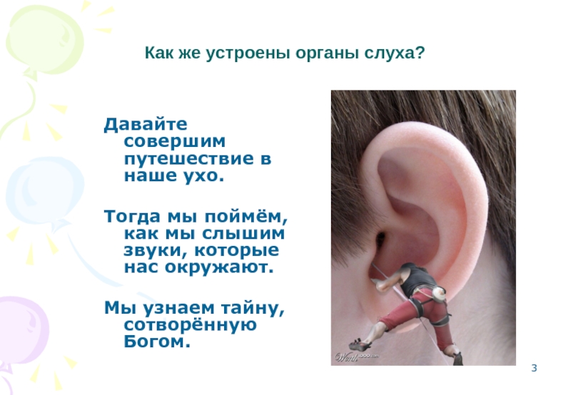 Рассказы про уши. Уши орган слуха 3 класс окружающий мир. Орган слуха для дошкольников. Сообщение на тему слух. Доклад про слух.