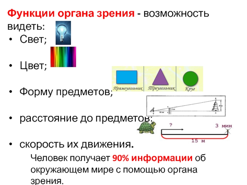 Способность видеть предмет. Функции видимого света. Приемники видимого света. Способ получения видимого излучения. Скорость взгляда человека.