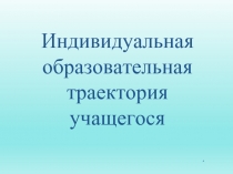 Индивидуальная образовательная траектория