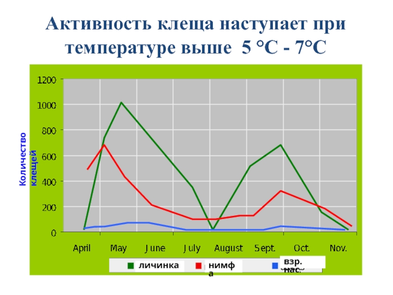 Активность клещей. Температура активности клещей. Клещи температура активности. График активности клещей. Активность клещей по месяцам.