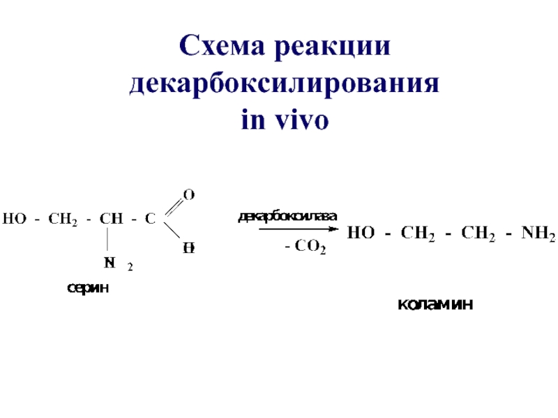 Реакция in vivo