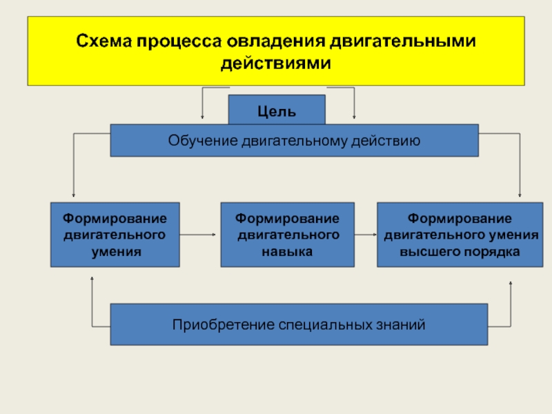 Этапы обучения двигательным. Этапы процесса обучения двигательным действиям. Схема формирования двигательного навыка. Схема двигательного действия. Схема овладения двигательным действием.