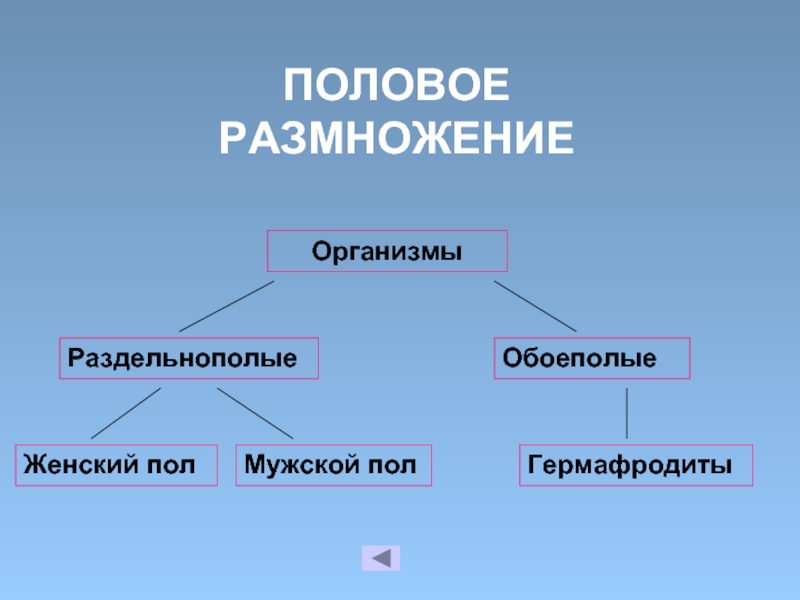 Размножение живых организмов презентация