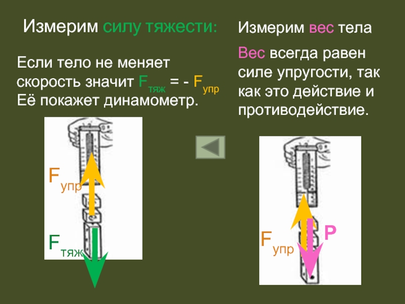 Устройство равен. Измерение силы тяжести. Сила упругости равна силе тяжести. Как измерить силу тяжести. Сложение сил тяжести.