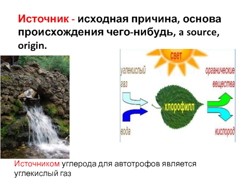 Факторы появления автотрофов