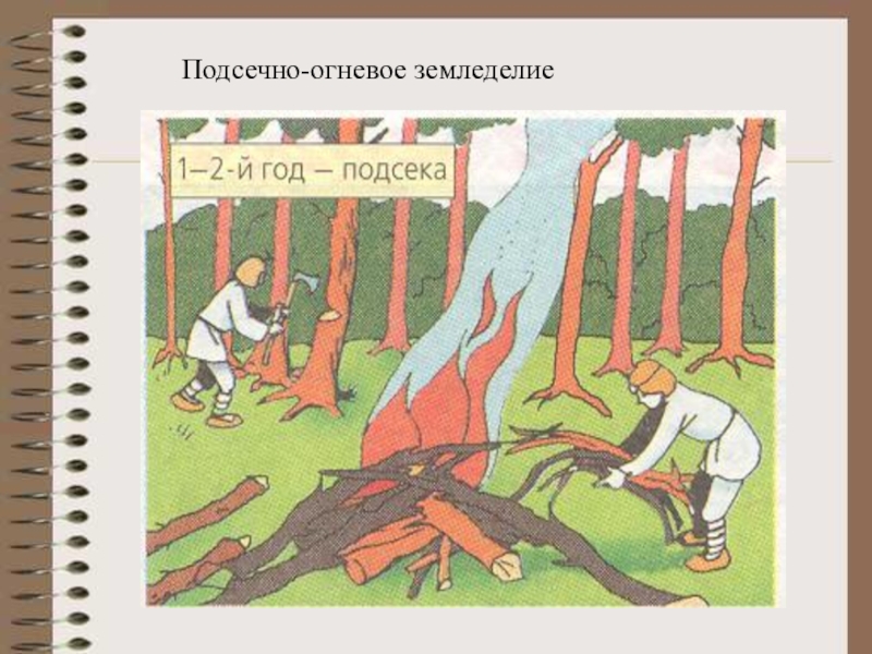 Подсечно огневая система. Подсечное земледелие в древней Руси. Подсечно-огневое земледелие. Подсечно-огневая система земледелия это. Подсечно огневое хозяйство.