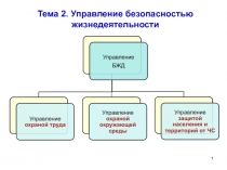 Управление БЖД 