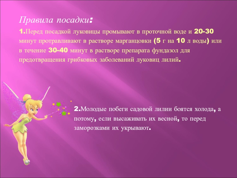 Правила посадки:1.Перед посадкой луковицы промывают в проточной воде и 20-30 минут протравливают в растворе марганцовки (5 г