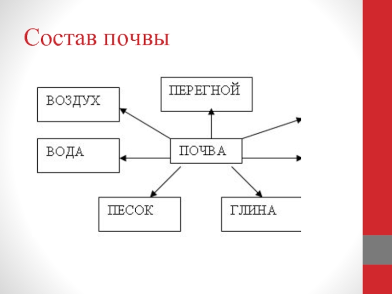 Что входит в состав почвы