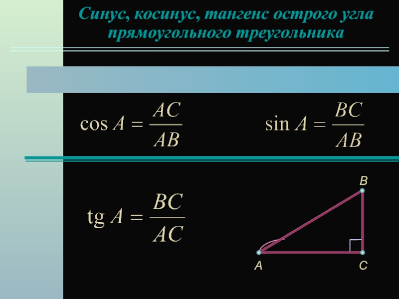 Синус, косинус, тангенс острого углапрямоугольного треугольникаCAB