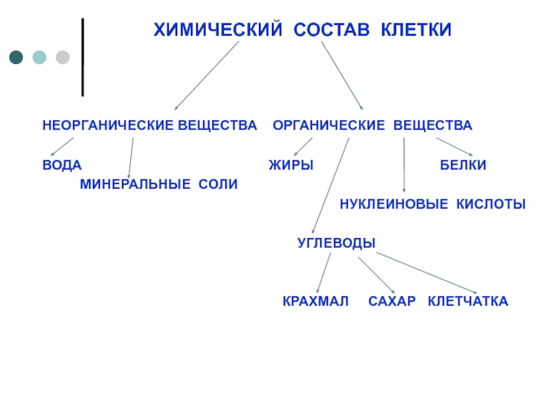 Тесту химический состав клетки