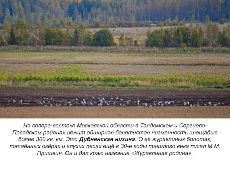 На северо-востоке Московской области в Талдомском и Сергиево-Посадском районах лежит обширная болотистая низменность площадью более 300 кв.