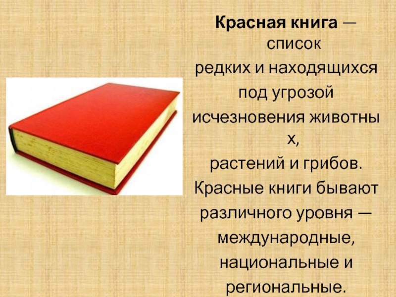 Красная книга из картона