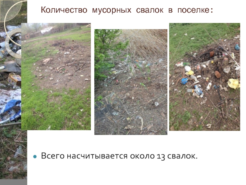 Количество мусорных свалок в поселке: Всего насчитывается около 13 свалок.