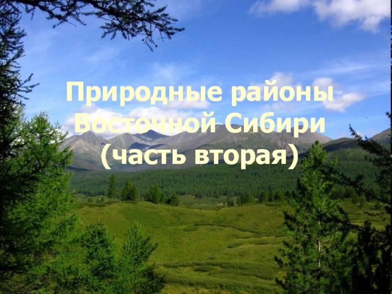 Природные районы Восточной Сибири (часть вторая)