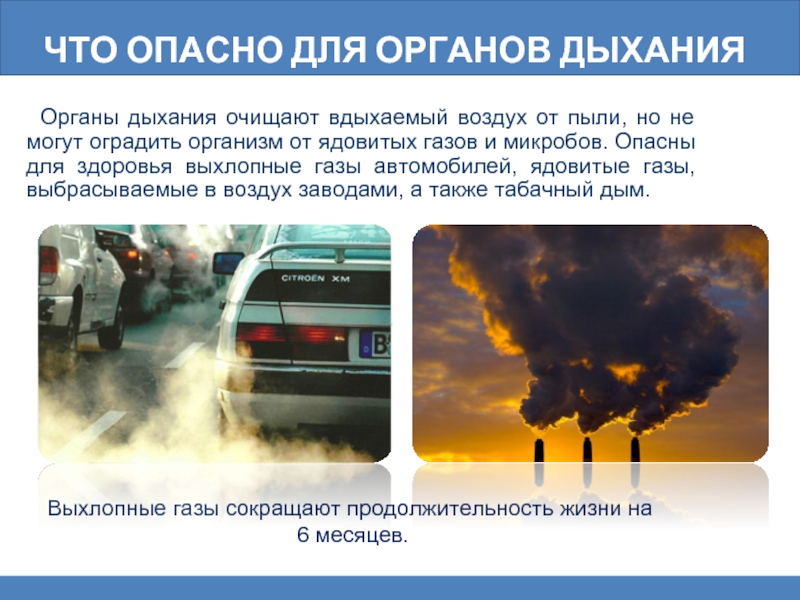 Воздух был столичный пахло возбужденным газом машин и чугунной пылью трамвайных тормозов